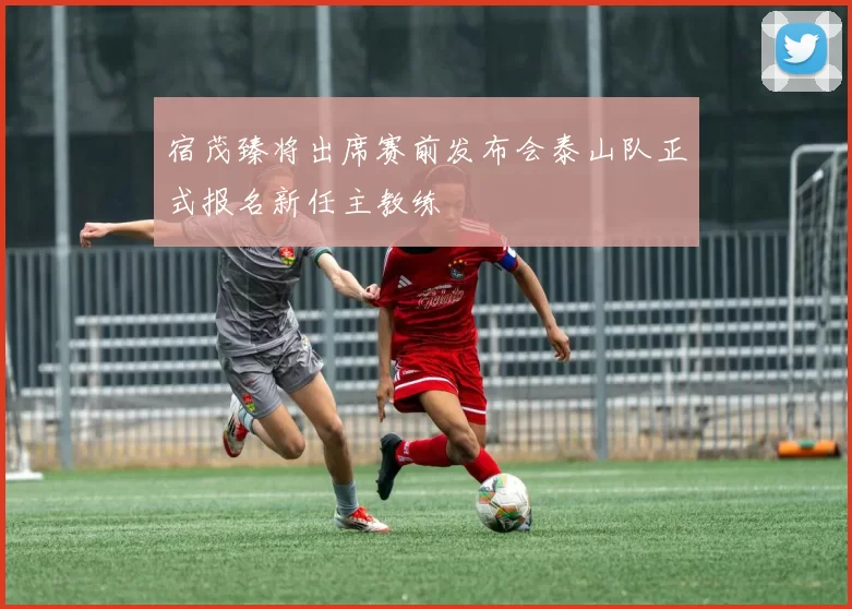 宿茂臻将出席赛前发布会泰山队正式报名新任主教练
