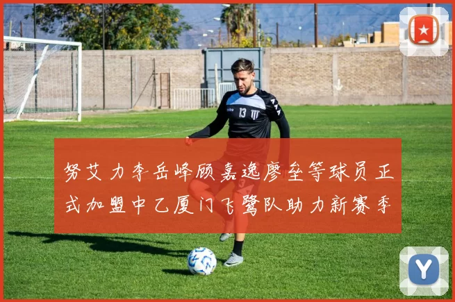 努艾力李岳峰顾嘉逸廖垒等球员正式加盟中乙厦门飞鹭队助力新赛季